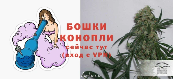 ПСИЛОЦИБИНОВЫЕ ГРИБЫ Горно-Алтайск