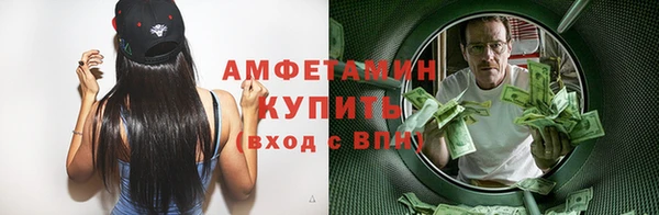 ПСИЛОЦИБИНОВЫЕ ГРИБЫ Горно-Алтайск