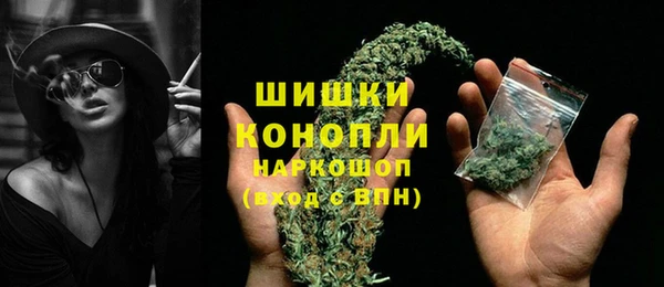 мдпв Горняк