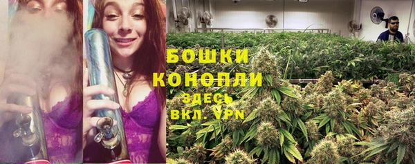 ПСИЛОЦИБИНОВЫЕ ГРИБЫ Горно-Алтайск