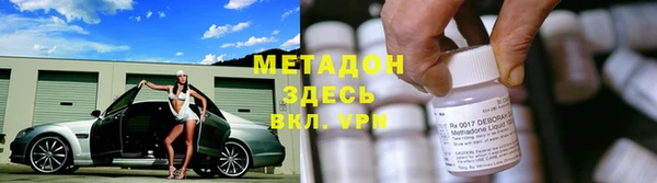 ПСИЛОЦИБИНОВЫЕ ГРИБЫ Горно-Алтайск