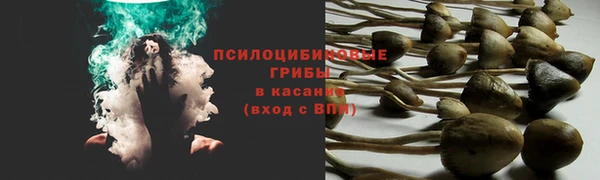 молекула духа Горнозаводск