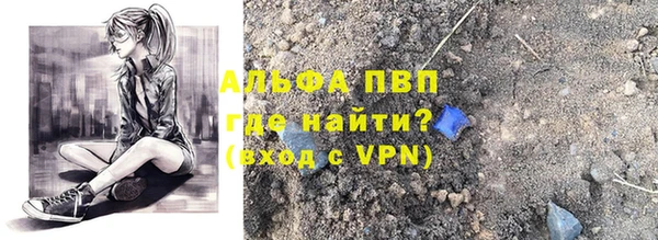 ПСИЛОЦИБИНОВЫЕ ГРИБЫ Горно-Алтайск
