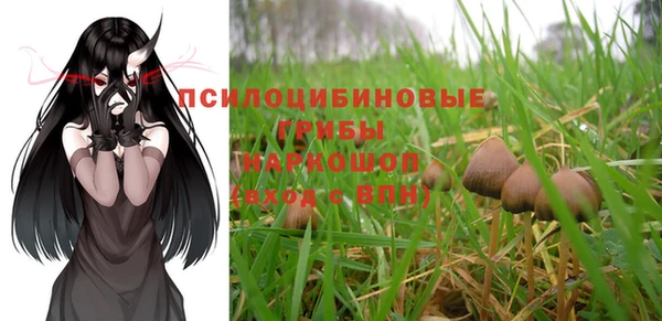 мдпв Горняк