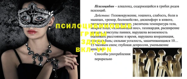 молекула духа Горнозаводск