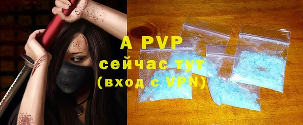 ПСИЛОЦИБИНОВЫЕ ГРИБЫ Горно-Алтайск