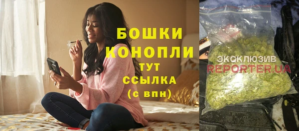 ПСИЛОЦИБИНОВЫЕ ГРИБЫ Горно-Алтайск