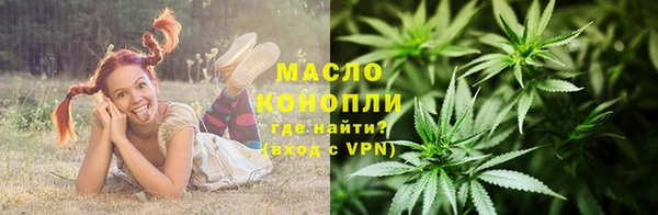 молекула духа Горнозаводск