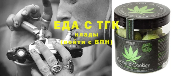 мдпв Горняк